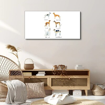 Tablou canvas Rase de câini din chrt