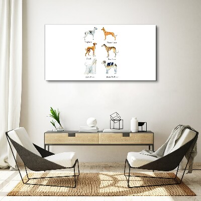 Tablou canvas Rase de câini din chrt