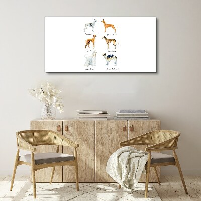 Tablou canvas Rase de câini din chrt