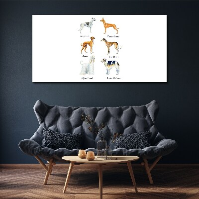 Tablou canvas Rase de câini din chrt