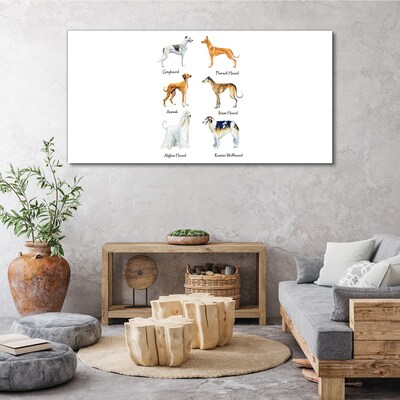 Tablou canvas Rase de câini din chrt