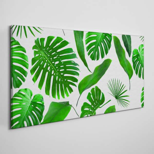 Tablou canvas Verde tropical în frunze