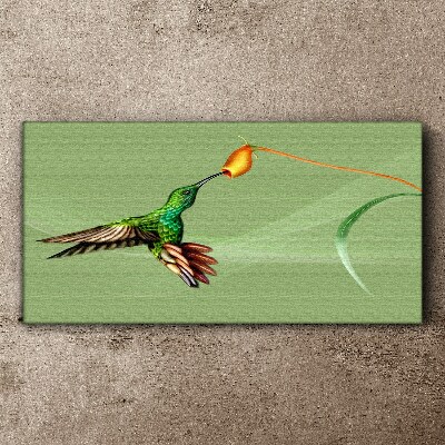 Tablou canvas Pasăre colibri la o floare