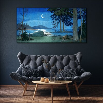 Tablou canvas Peisaj de noapte deasupra apei