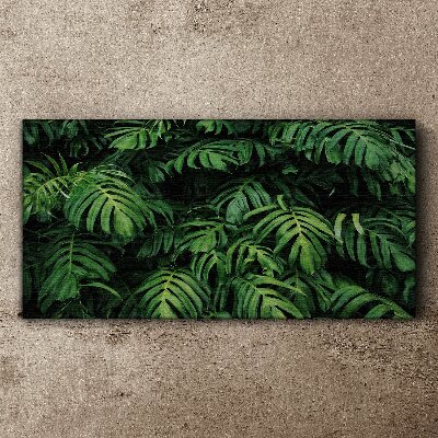 Tablou canvas Junglă verde