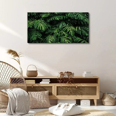 Tablou canvas Junglă verde