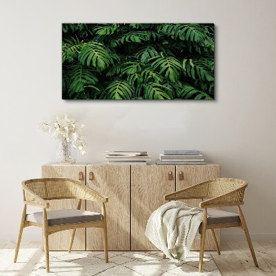 Tablou canvas Junglă verde