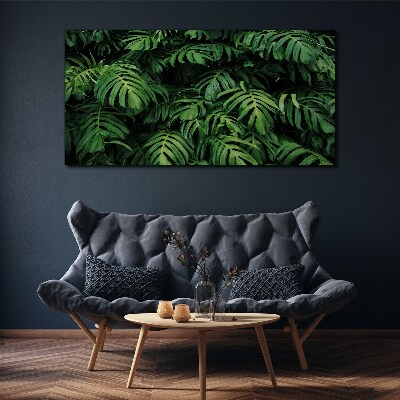 Tablou canvas Junglă verde