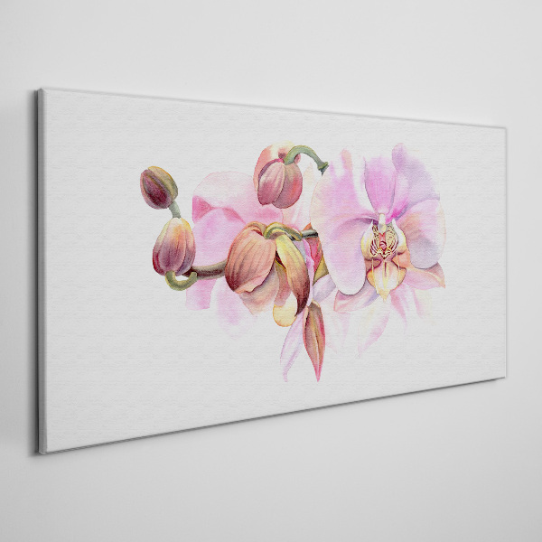 Tablou canvas Orhideea in nuante pastelate