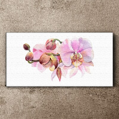 Tablou canvas Orhideea in nuante pastelate