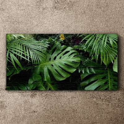 Tablou canvas Verdeață tropicală în adâncurile naturii