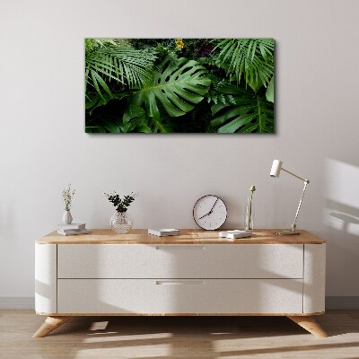 Tablou canvas Verdeață tropicală în adâncurile naturii