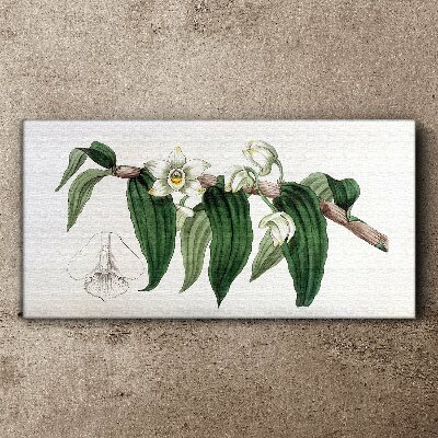 Tablou canvas Aranjament floral cu frunze