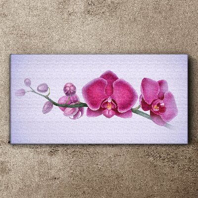 Tablou canvas Orhidee în nuanțe delicate de roz