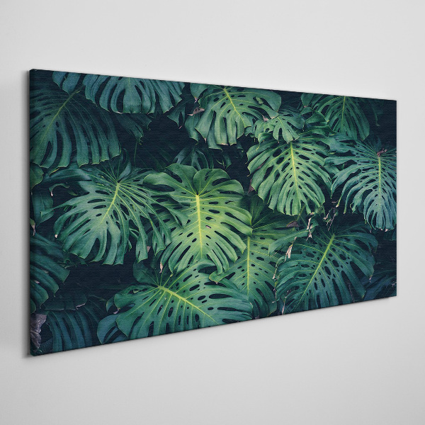 Tablou canvas Verde tropical în frunze de monstera