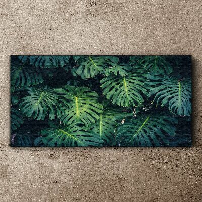 Tablou canvas Verde tropical în frunze de monstera