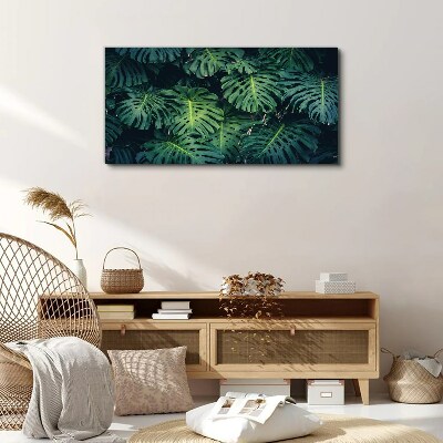 Tablou canvas Verde tropical în frunze de monstera