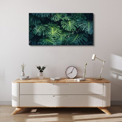 Tablou canvas Verde tropical în frunze de monstera