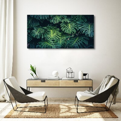 Tablou canvas Verde tropical în frunze de monstera