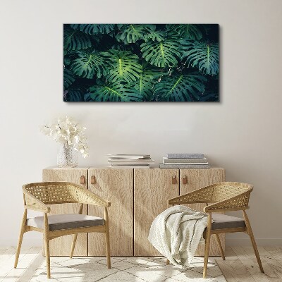 Tablou canvas Verde tropical în frunze de monstera