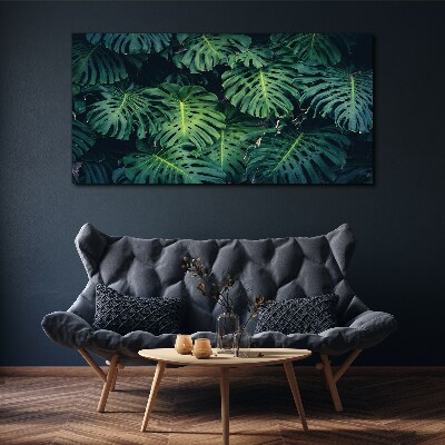 Tablou canvas Verde tropical în frunze de monstera