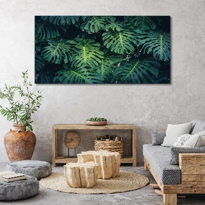Tablou canvas Verde tropical în frunze de monstera