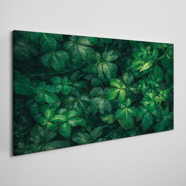 Tablou canvas Desiș verde de frunze