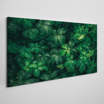 Tablou canvas Desiș verde de frunze