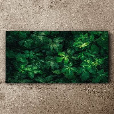 Tablou canvas Desiș verde de frunze