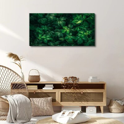 Tablou canvas Desiș verde de frunze