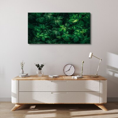 Tablou canvas Desiș verde de frunze