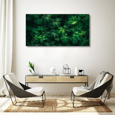 Tablou canvas Desiș verde de frunze