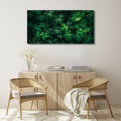 Tablou canvas Desiș verde de frunze