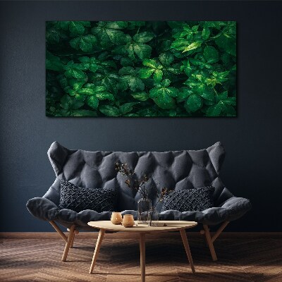 Tablou canvas Desiș verde de frunze