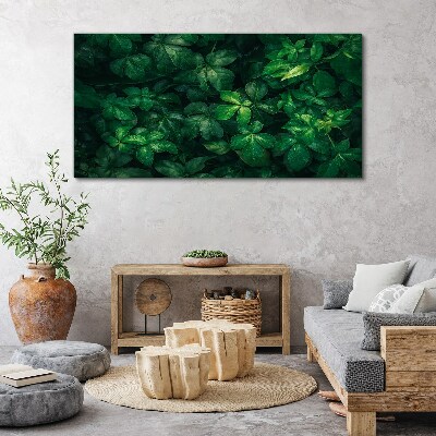 Tablou canvas Desiș verde de frunze