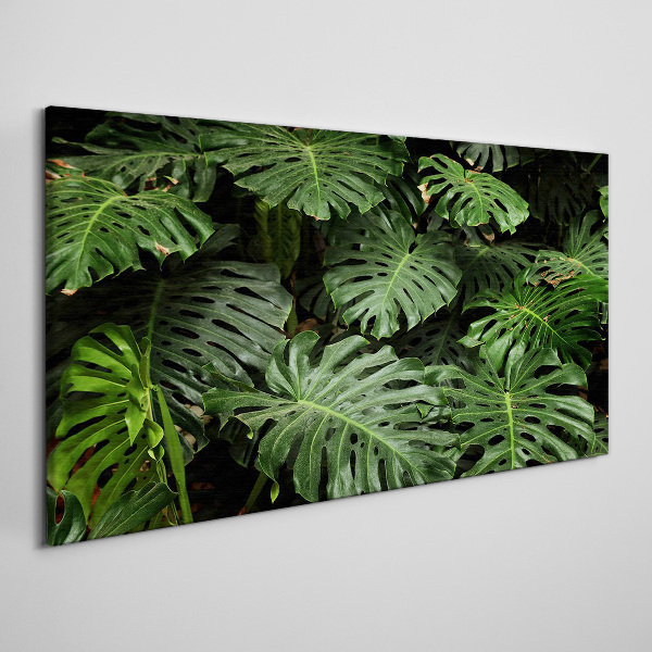 Tablou canvas Frunze tropicale de monstera