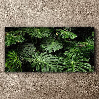 Tablou canvas Frunze tropicale de monstera