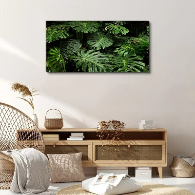 Tablou canvas Frunze tropicale de monstera
