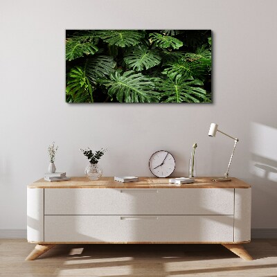 Tablou canvas Frunze tropicale de monstera