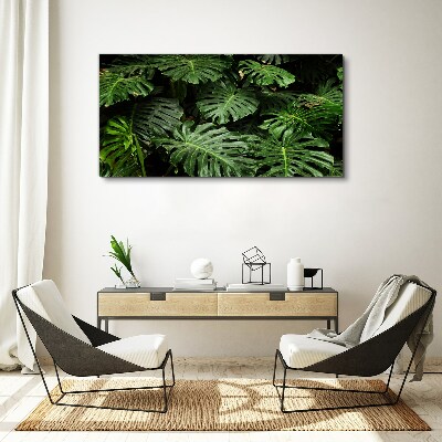 Tablou canvas Frunze tropicale de monstera