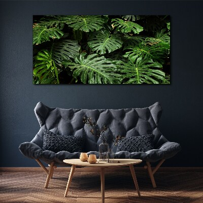 Tablou canvas Frunze tropicale de monstera