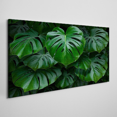 Tablou canvas Simfonia verde a frunzelor de Monstera