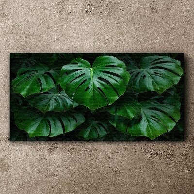 Tablou canvas Simfonia verde a frunzelor de Monstera