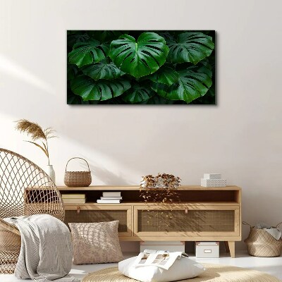 Tablou canvas Simfonia verde a frunzelor de Monstera