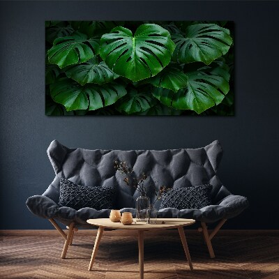 Tablou canvas Simfonia verde a frunzelor de Monstera