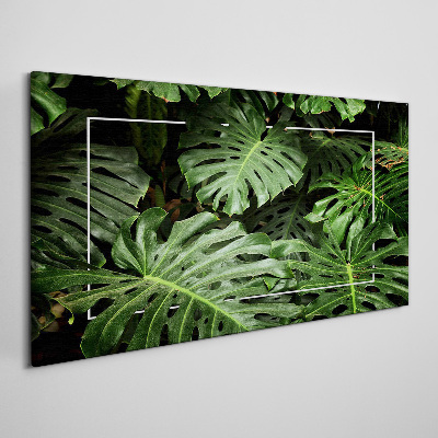 Tablou canvas Junglă verde