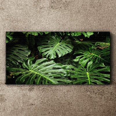 Tablou canvas Junglă verde