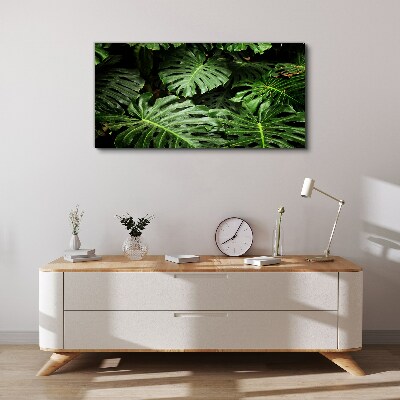 Tablou canvas Junglă verde