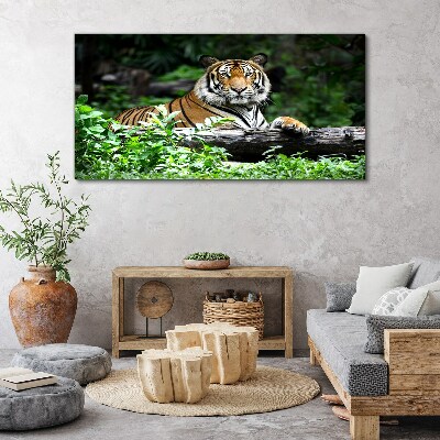 Tablou canvas Tigru în pădurea verde