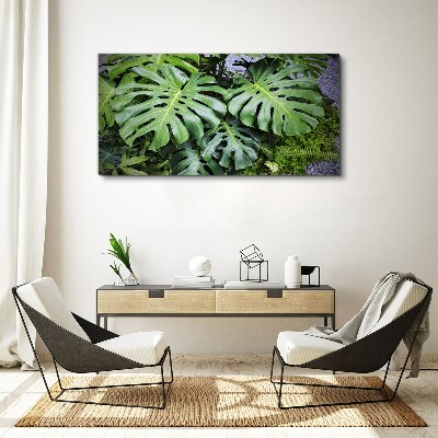 Tablou canvas Frunze verzi de monstera în natură